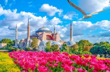 Фестивал на лалето в Истанбул