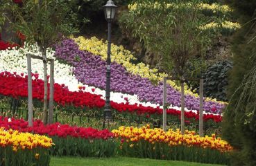 Екскурзия в ТУРЦИЯ - Фестивал на лалетата - Истанбул  /4 нощувки/