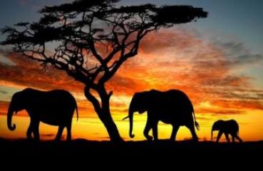 ЮЖНА АФРИКА и ЗИМБАБВЕ - II вар. 03.04.2026, 08.05.2026, 11.09.2026, 16.10.2026, 06.11.2026, 02.12.2026