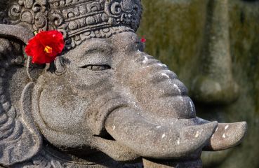 О-В БАЛИ 27.02.2026, 06.05.2026, 15.09.2026, 21.10.2026, 18.11.2026, 09.12.2026