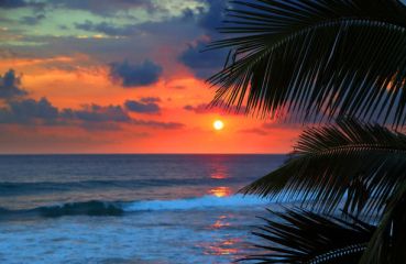 ХАВАИ 03.07.2026, 31.07.2026