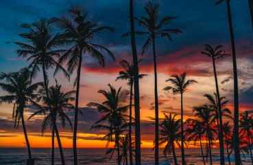 САЩ - Западно крайбрежие 09.04.2026, 12.05.2026, 23.06.2026, 22.09.2026