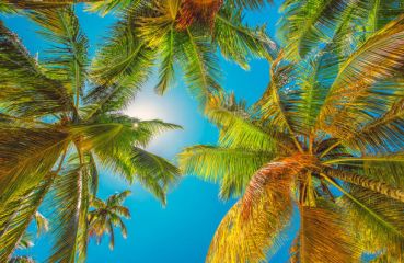 ШРИ ЛАНКА и МАЛДИВИ 27.02.2026, 13.03.2026, 09.04.2026, 04.09.2026, 23.10.2026, 13.11.2026, 04.12.2026