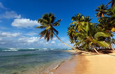 САЩ - МАЯМИ С КРУИЗ ПО БАХАМИТЕ 03.07.2026, 31.07.2026