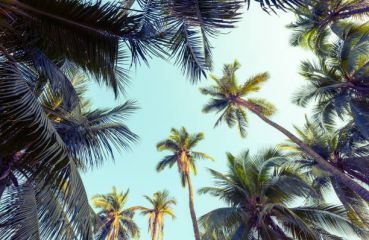 САЩ - Източно и Западно крайбрежиe, с круиз по Бахамите 12.06.2026, 11.09.2026