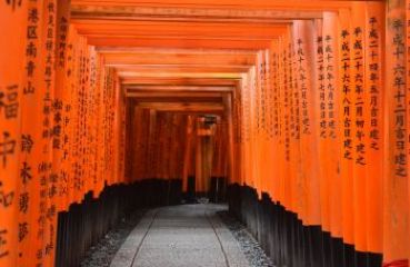 ЯПОНИЯ И СЕУЛ  16.04.2026