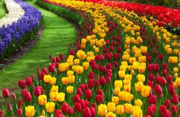 Великден в Истанбул, Турция - Фестивал на лалетата с автобус от Варна - 3 нощувки