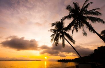 Почивка в Дидим, Турция с автобус от Варна - 9 нощувки