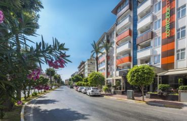 LONICERA CITY