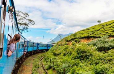 Шри Ланка – остров на древни храмове, чаени плантации и златни плажове с полет от София
