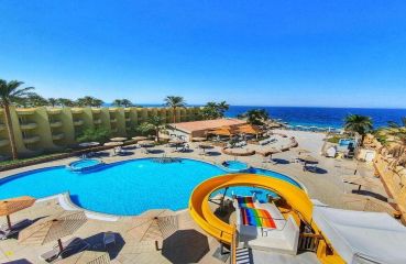 Palm Beach Resort Standard